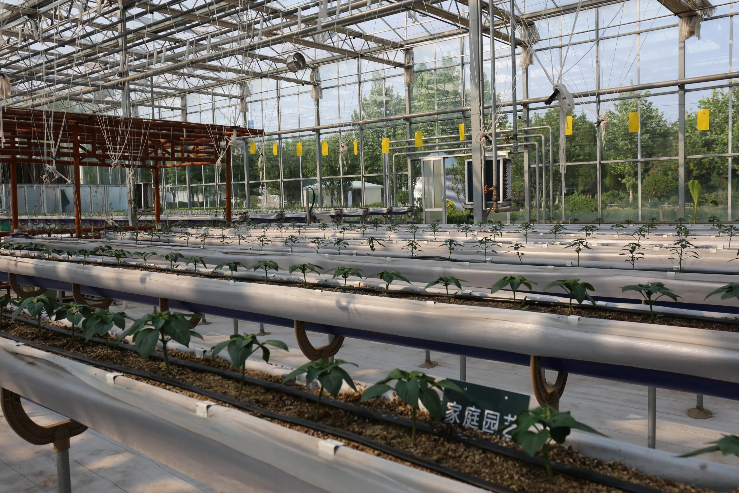 Lokasi percobaan OKD Agro